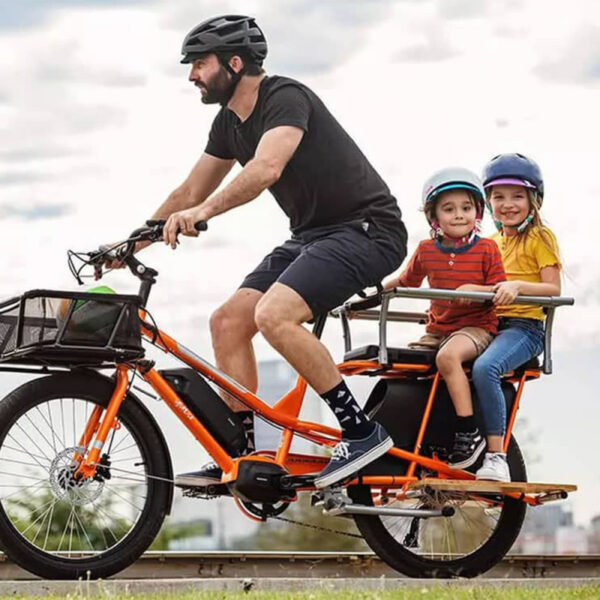 Velo-Electrique-Cargo-Compact-2-places.jpg