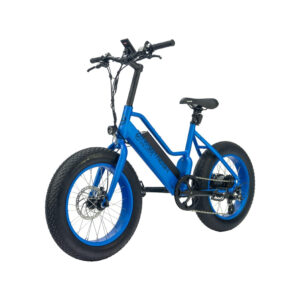 Velo-electrique-enfant-20-pouces.jpg