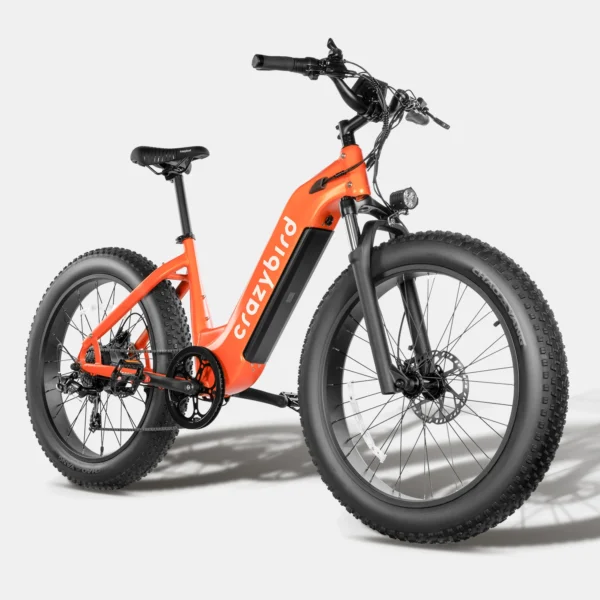 Fat-Bike-52V-rapide.webp