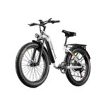 Fat-Bike-Electrique-1000W.jpg