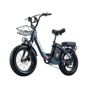 Fat-Bike-Electrique-200-km.jpg