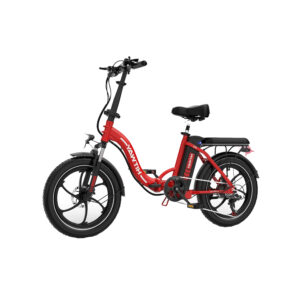 Fat-Bike-Electrique-250W.jpg