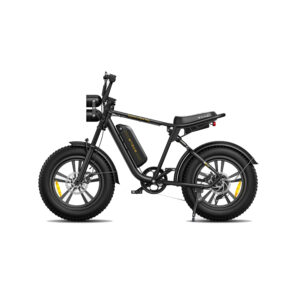 Fat-Bike-Electrique-750W.jpg