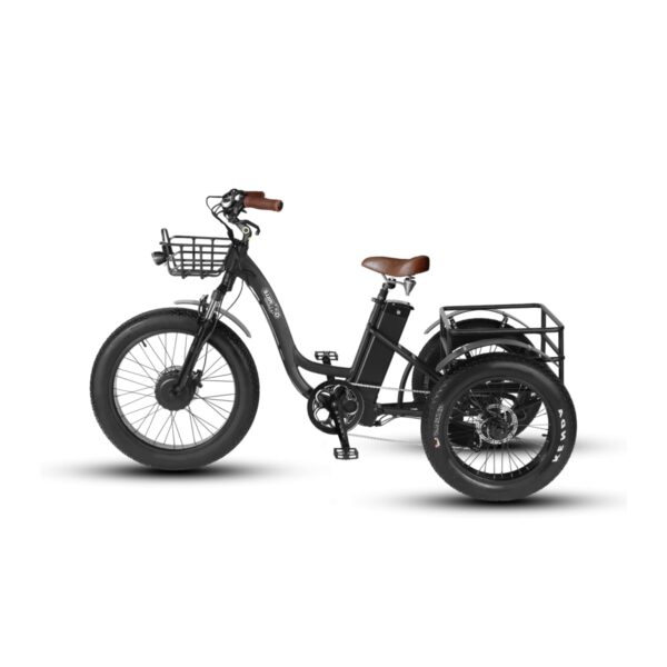 Fat-Bike-Electrique-Avec-Remorque.jpg