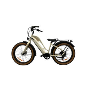 Fat-Bike-Electrique-Beach-Cruiser-beige.jpg