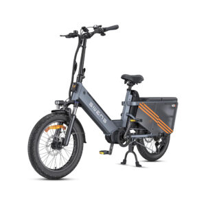 Fat-Bike-Electrique-Cargo.jpg