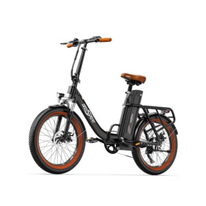 Fat-Bike-Electrique-Retro.jpg