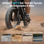 Fat-Bike-Electrique-VTT-gros-pneus.jpg