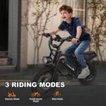 Fat-Bike-Electrique-VTT-modes.jpg