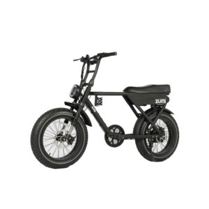 Fatbike-Electrique-Double-Place-confortable.jpg