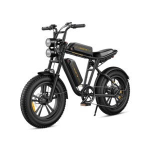 Velo-Electrique-Double-Batterie.png