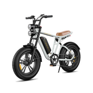 Velo-Electrique-Grosse-Roue-Suspendu-2.jpg