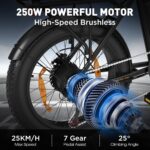 Velo-Electrique-Petit-Format-250W.jpg