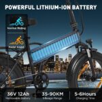 Velo-Electrique-Petit-Format-36V.jpg