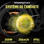 Velo-Electrique-Resistant-250W.webp
