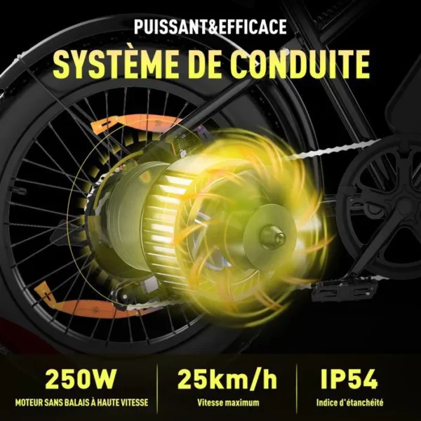 Velo-Electrique-Resistant-250W.webp
