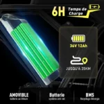 Velo-Electrique-Resistant-batterie-amovible.webp