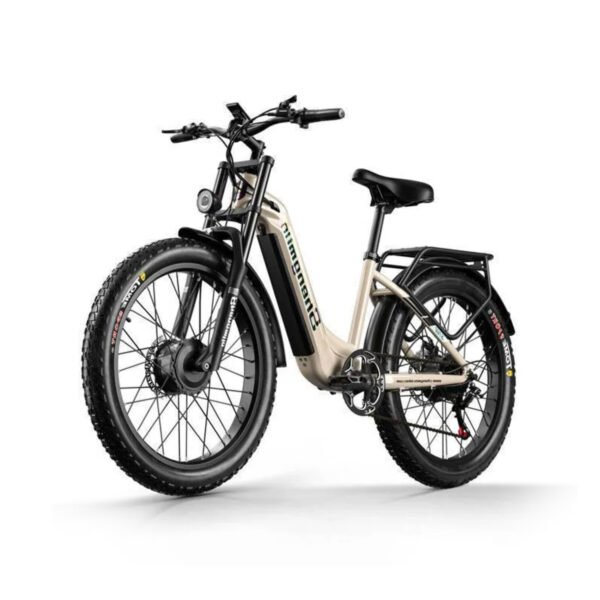 Velo-Electrique-Roue-Epaisse-LED.jpg