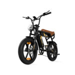Velo-Electrique-Selle-Biplace.jpg