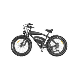 Velo-Electrique-Style-Harley-robuste.jpg