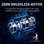 velo-electrique-pour-faire-ses-courses-250W.jpg
