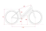 E-VTT Femme Dimensions