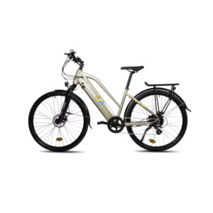 VTC Électrique 500Wh