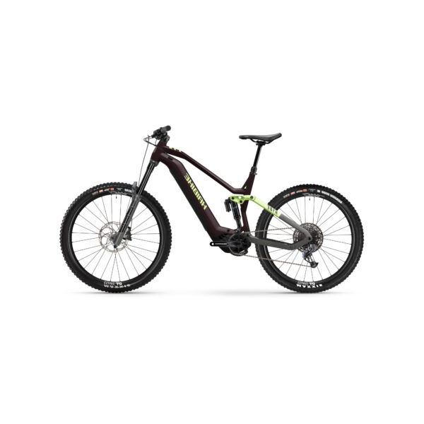VTT Électrique Mullet