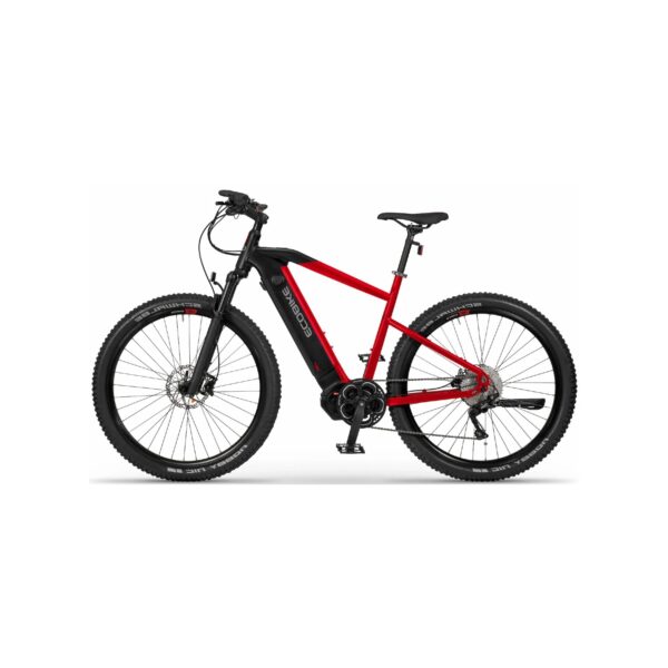 VTT Électrique Sans Pédalage