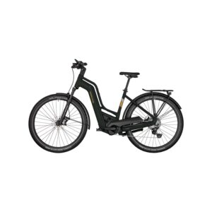 Vélo Électrique à 10 Vitesses