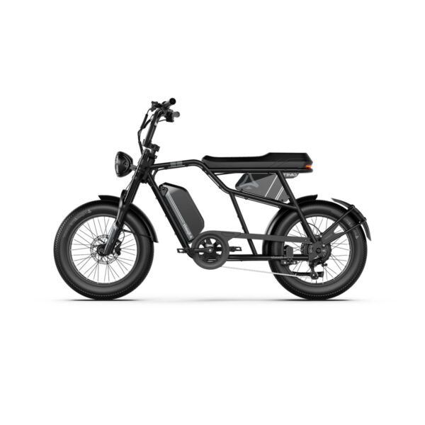 Vélo Électrique 180Kg