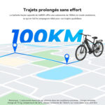 Vélo Électrique Batterie Amovible 100KM