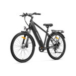 Vélo Électrique Batterie Amovible