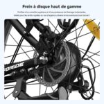 Vélo Électrique Batterie Amovible Frein