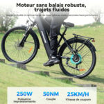 Vélo Électrique Batterie Amovible Moteur