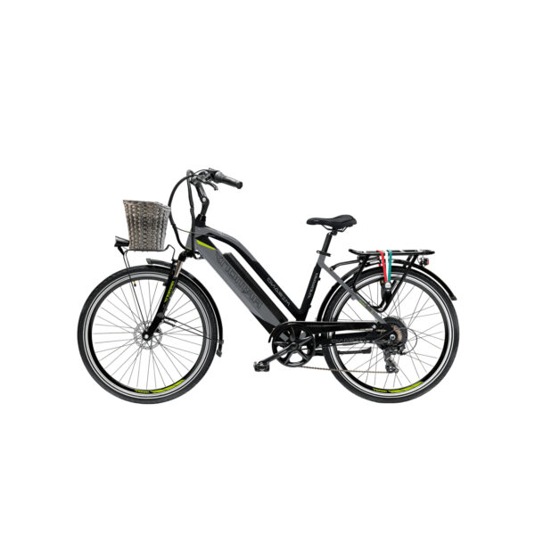 Vélo Électrique Citadin Femme
