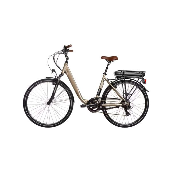 Vélo Électrique Femme 20 Kg