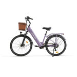 Vélo Électrique Femme Ville et Campagne