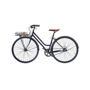 Vélo Électrique Panier devant