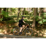 Vélo Électrique Polyvalent Femme Rapide
