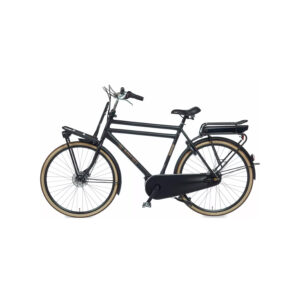 Vélo Électrique Type Hollandais
