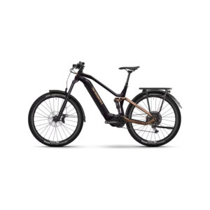 Vélo Électrique Unisex