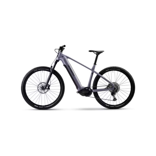 Vélo Électrique Violet