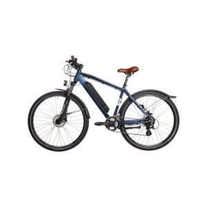 VAE pour le Trajet du Travail