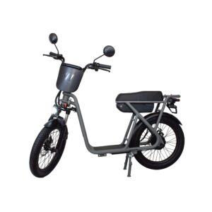 Draisienne Électrique Sans Pédales