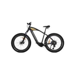 Fat Bike Électrique Surf Puissant