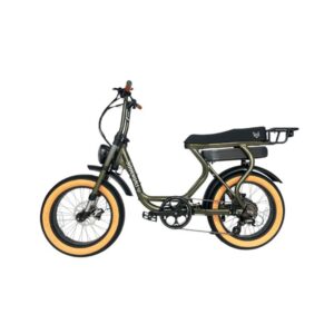 Fat Bike Électrique Urbain Vert