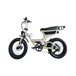Fat Bike Électrique Biplace