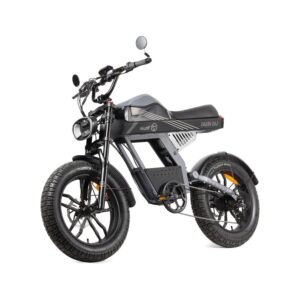 Fatbike Électrique Moto