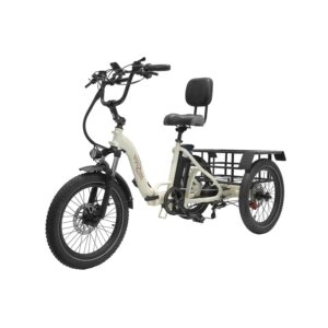 Vélo Cargo Électrique pour Usage Professionnel